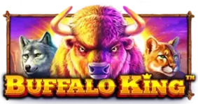 Buffalo King